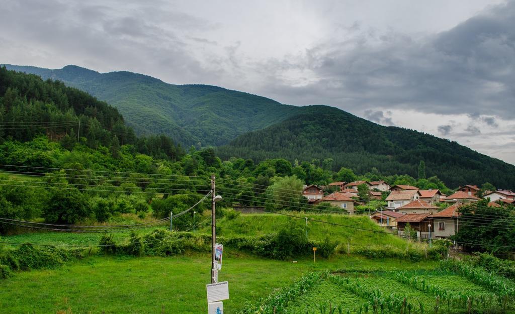 Guest House Joji Сапарева Баня Стая снимка